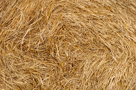 小麦大包小麦秸秆的堆栈照片