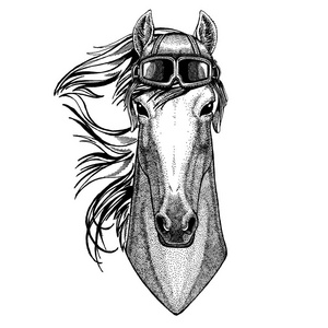 戴眼镜的动物佩戴飞行员头盔。矢量图片。马, 骏马, 骑士, 骏马, 手画纹身, 徽章, 徽章, 标志, 补丁, t恤的图片
