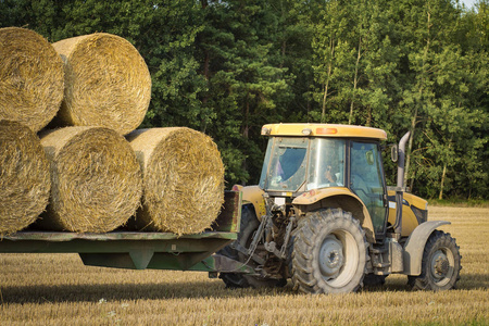 农用拖拉机在收割谷物作物后在田间拖车上移动一捆干草