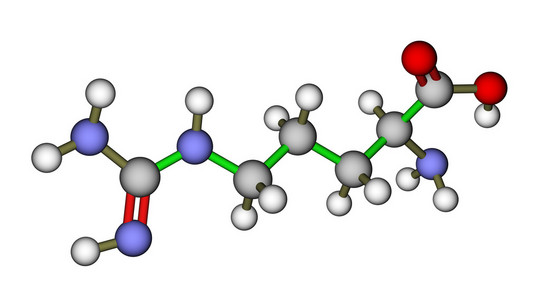 氨基酸精氨酸分子的结构照片