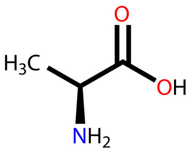 氨基酸丙氨酸结构式