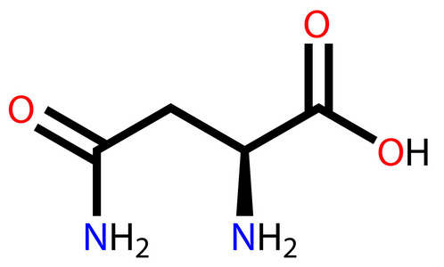 氨基酸天门冬酰胺结构式