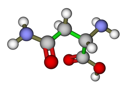 氨基酸天门冬酰胺 3d 分子的结构