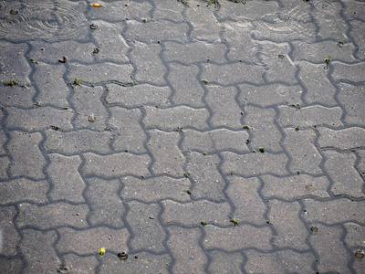 雨水滴在瓷砖路面地板有用作为背景