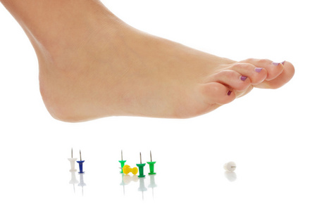 脚刺猴女性脚以上图钉照片