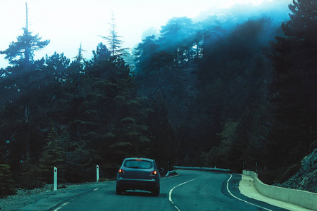 夜晚山区森林地带的道路和树梢上的雾