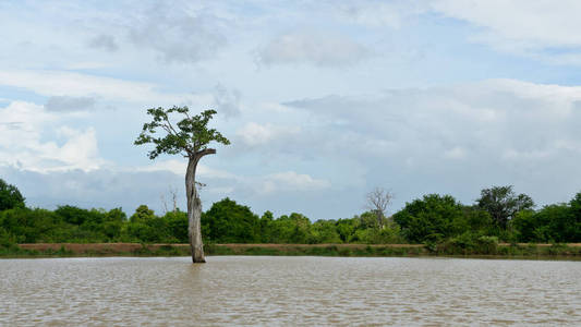 Udawalawe 国家公园