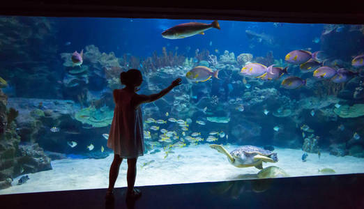 水族馆的女人与海龟玩耍