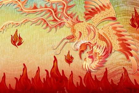 凤凰尾巴在飞行,代表重生的美丽凤凰照片