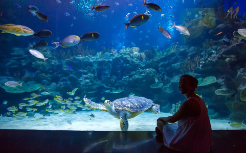 妇女在水族馆