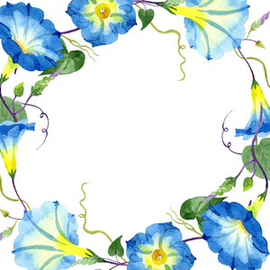 蕹蓝色。花卉植物花。框边框装饰广场
