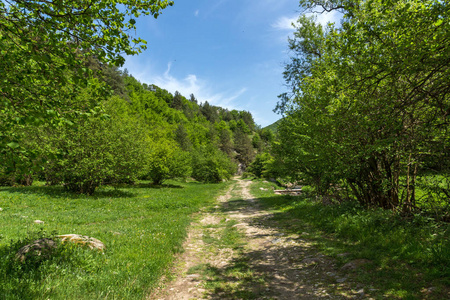 保加利亚 Pazardzhik Rhodopes 山 Fotinovo 村附近绿色丘陵的春季景观