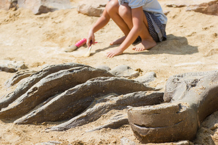 孩子们在学恐龙遗骸, 挖掘恐龙化石在公园里模拟