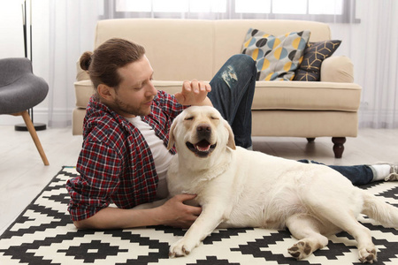 可爱的黄色拉布拉多猎犬与主人在家里