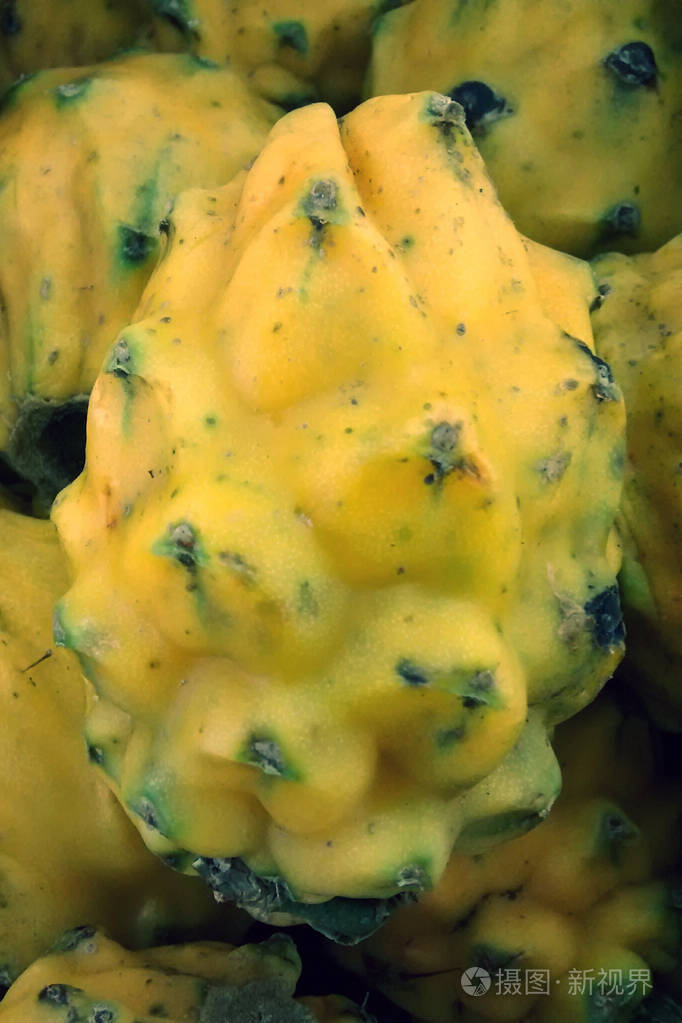 黄色异国水果pitahaya龙果