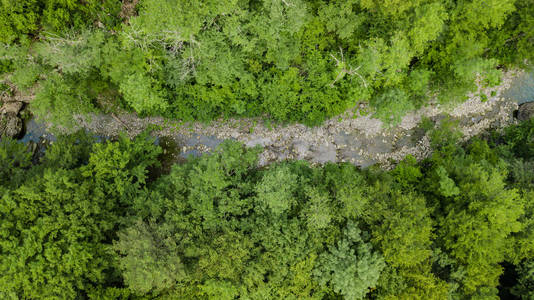 空中俯视高加索山脉森林树木和道路。在阳光明媚的夏日, 从无人驾驶飞机上直接观看