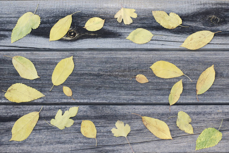 黄色的树叶，木制背景框架。文本的地方