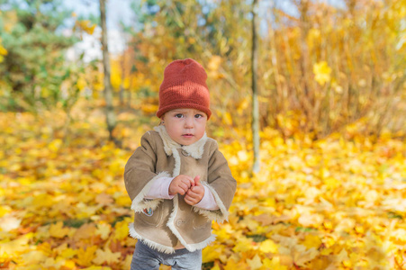 一个穿着暖和衣服的小漂亮女孩站在森林里的秋天树叶间。水平肖像