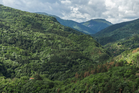 保加利亚普罗夫迪夫 Rhodope 山 Asenovgrad 镇附近的绿色丘陵景观令人惊叹