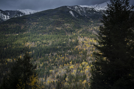 积雪覆盖落基山脉山顶与秋天森林在边