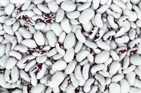 堆大的北豆.在灰色背景下.文本位置照片