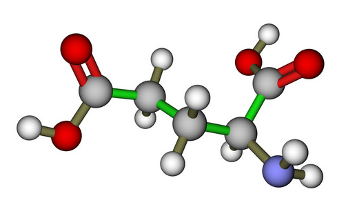 氨基酸谷氨酸分子的结构照片
