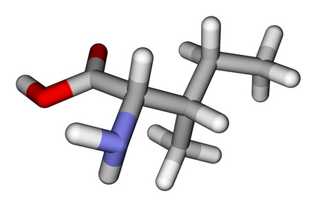 必需氨基酸异亮氨酸 3d 分子模型