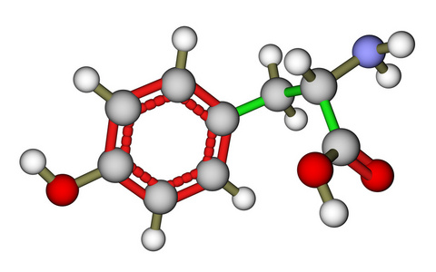 氨基酸酪氨酸分子的结构照片