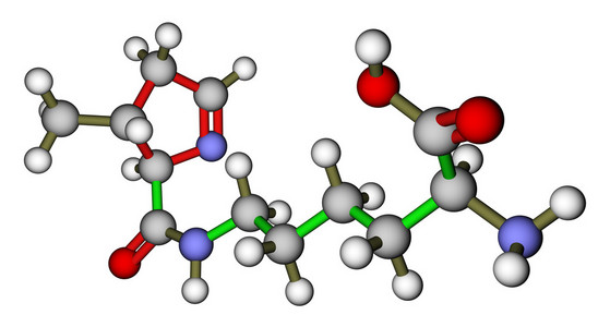 氨基酸 pyrrolysine 3d 分子的结构