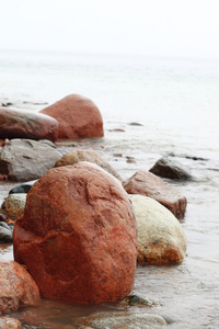 石头在海水秋海