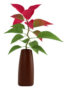 首页植物用绿色和红色的叶子