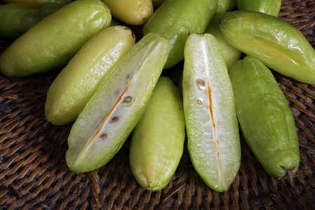 原产于巴西的鸟图片