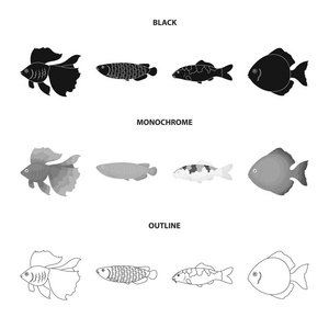 铁饼, 金, 鲤鱼, 锦鲤, 龙鱼, fotmosus。鱼集图标黑色, 单色, 轮廓样式矢量符号股票插画网站