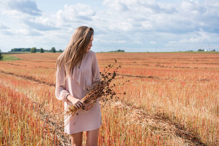 她手里拿着小穗的荞麦地里的一条连衣裙上的女孩