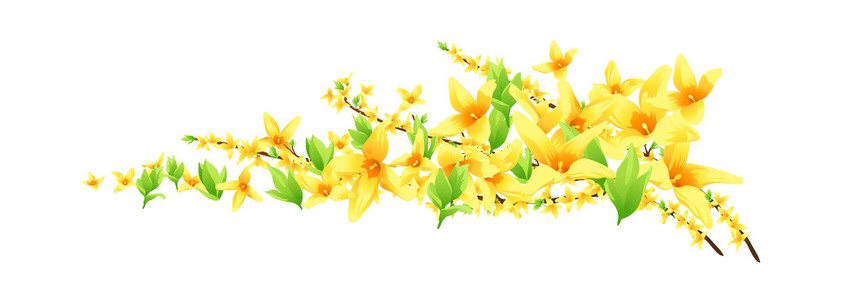 植物中药材连翘插画-植物中药材连翘手绘-植物中药材连翘卡通图-摄图