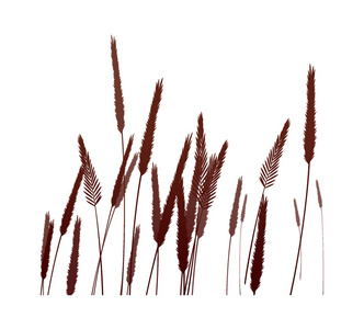 矢量图平无缝图案与日本起重机和金色芦苇在红色背景.