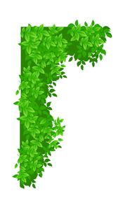 巴士字符卡通矢量插图圣诞植物,杉枝,冬青,球果,常春藤和槲寄生的组成