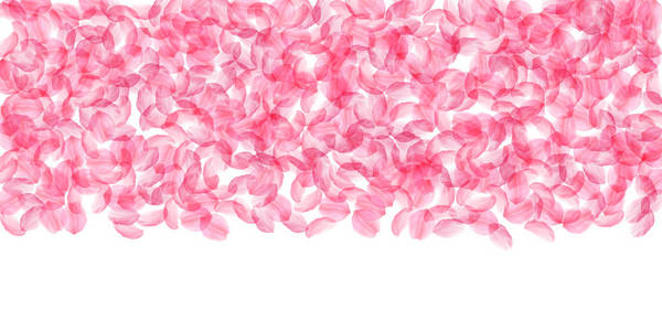 樱花花瓣落下。浪漫的粉红色丝质大花。厚飞的樱瓣。宽顶 gr