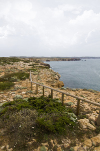 美丽的海岸线的 sagres