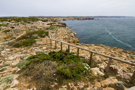 美丽的海岸线的 sagres