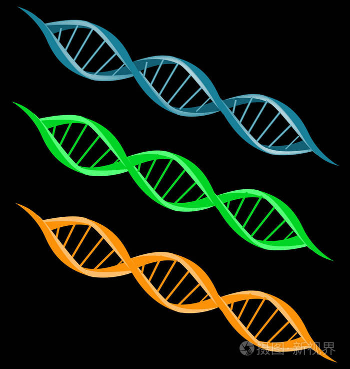 dna 链双螺旋螺旋图标矢量集
