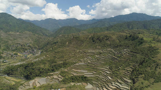 在山的水稻梯田