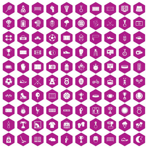 100体育场图标六角紫色