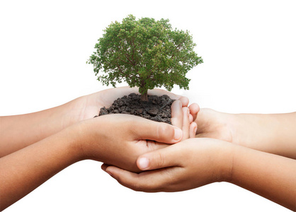 茁壮成长树图片