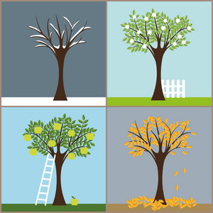 春夏秋冬四季四棵四季的树.春夏秋冬照片