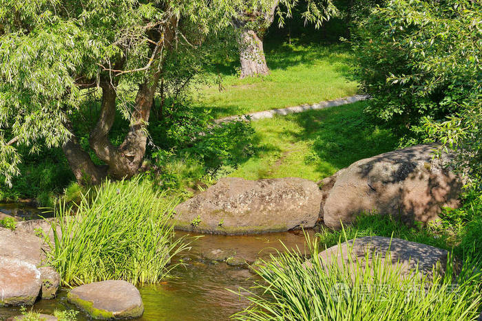 翡翠绿色森林中的一个小水源, 其中有大石块。童话