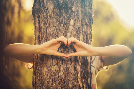 在公园拥抱树干的妇女显示心脏标志