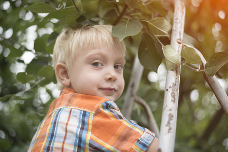 小金发男孩采摘苹果。肖像