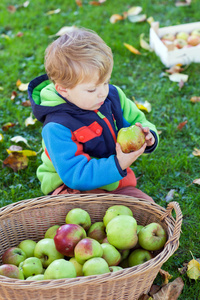 小小的蹒跚学步的孩子吃苹果