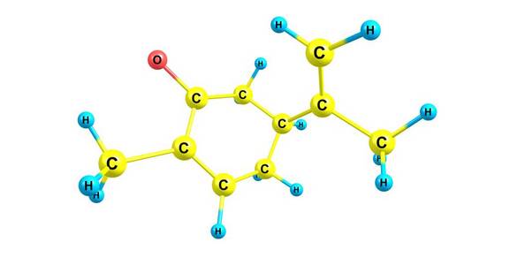 香芹酮是一个叫做萜的化学物质家族的成员。香芹酮在许多精油中自然被发现。3d 插图